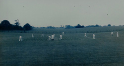 Chairmans XI v Wield 19th July 1981